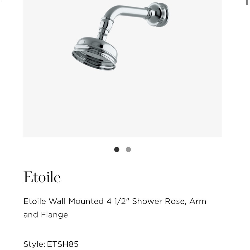 Waterworks Etoile Wall Mounted 4 1/2" Shower Rose (Head Only) Chrome Finish